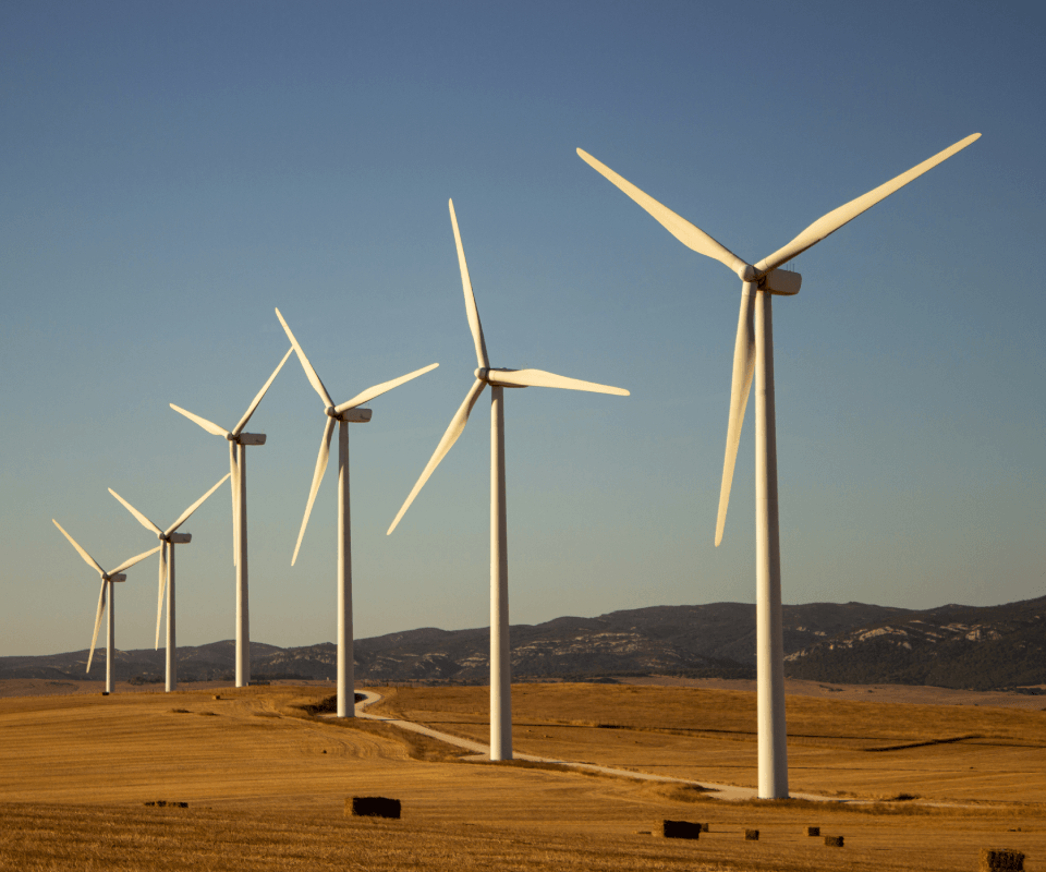 Sustainability